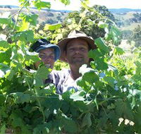 Wimmera Hills Winery - Accommodation Sunshine Coast