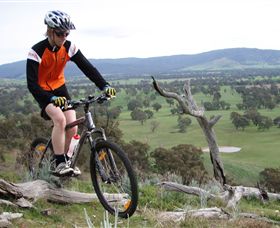 Wimmera Hills Winery - Accommodation Sunshine Coast 2