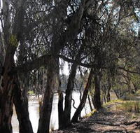 Mia Forest Drives Narrandera - Accommodation Sunshine Coast