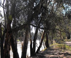 Mia Forest Drives Narrandera - Accommodation Sunshine Coast 0
