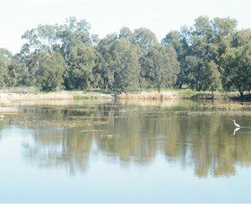 Narrandera Wetlands - Accommodation Sunshine Coast 1