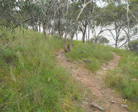 Bundidgerry Walking Track - Accommodation Sunshine Coast 1