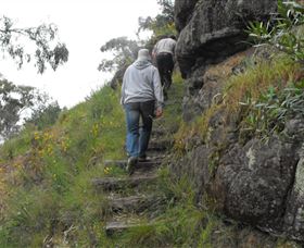 Bundidgerry Walking Track - Accommodation Sunshine Coast 3