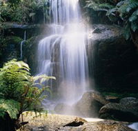 Mount Buangor State Park - Accommodation Sunshine Coast