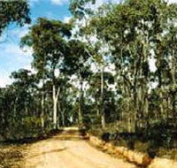 Paddys Ranges State Park - Accommodation Sunshine Coast