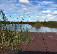 Gwydir Wetlands - Accommodation Sunshine Coast