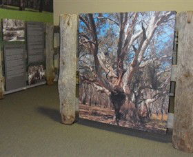 Barmah Forest Heritage And Education Centre - Accommodation Sunshine Coast 2