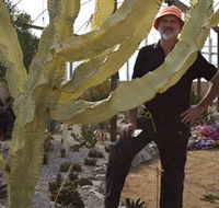 Cactus Country - Accommodation Sunshine Coast