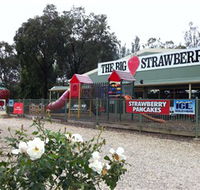 The Big Strawberry - Accommodation Sunshine Coast