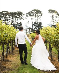 Quoin Hill Vineyard - Accommodation Sunshine Coast 2