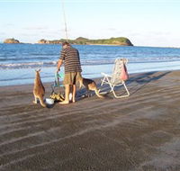 Cape Hillsborough National Park - Accommodation Sunshine Coast