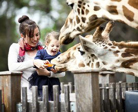 Taronga Western Plains Zoo, Dubbo - Accommodation Sunshine Coast 0
