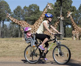 Taronga Western Plains Zoo, Dubbo - Accommodation Sunshine Coast 2
