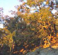 Mount Alexander Regional Park - Accommodation Sunshine Coast