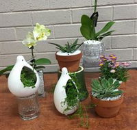 Cobram Florist - Accommodation Sunshine Coast