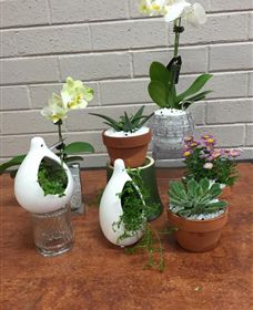 Cobram Florist - Accommodation Sunshine Coast 0