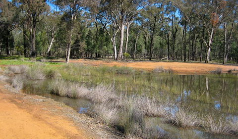 Beni State Conservation Area - Accommodation Sunshine Coast 0