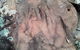 Beni State Conservation Area - thumb 1