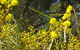 Beni State Conservation Area - thumb 3