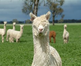 Creswick Woollen Mills - Accommodation Sunshine Coast 1