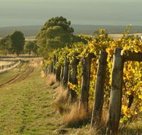 Captains Creek Organic Wines - Accommodation Sunshine Coast