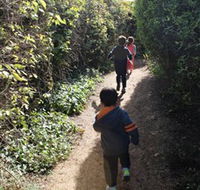 The Tangled Maze  Mistydowns Nursery - Accommodation Sunshine Coast