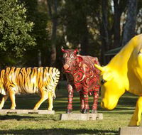 Greater Shepparton's Moooving Art - Accommodation Sunshine Coast