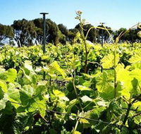 Basalt Wines - Accommodation Sunshine Coast