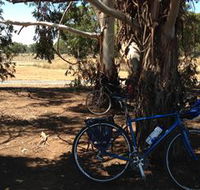 Murchison Rail Trail - Accommodation Sunshine Coast
