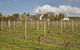 Barcaldine House - thumb 3