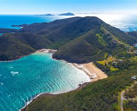 Birdwatching On Keswick Island - Accommodation Sunshine Coast 1