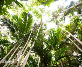 Bushwalking On Keswick Island - Accommodation Sunshine Coast 1