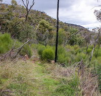 Lynchs loop trail - Accommodation Sunshine Coast