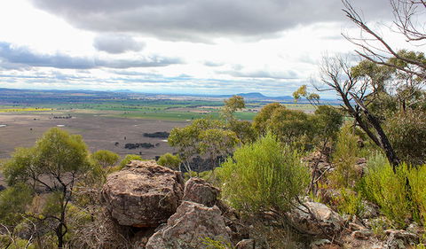 Lynchs Loop Trail - Accommodation Sunshine Coast 3