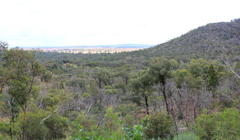 Ben Hall's Cave Walking Track - Accommodation Sunshine Coast 0