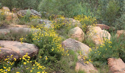 Ben Hall's Cave Walking Track - Accommodation Sunshine Coast 2