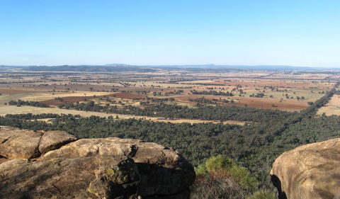 Basin Gully To Eualdrie Lookout Track - Accommodation Sunshine Coast 0