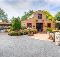 Springhill Nursery - Accommodation Sunshine Coast