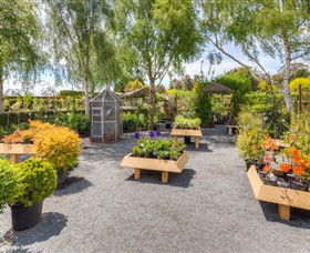 Springhill Nursery - Accommodation Sunshine Coast 4