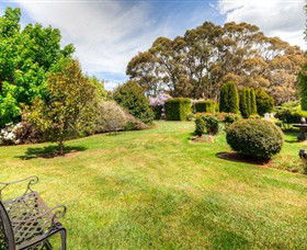 Springhill Nursery - Accommodation Sunshine Coast 8
