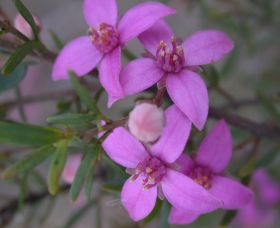 Self Drive Geology And Nature Trails - Accommodation Sunshine Coast 0