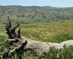 Self Drive Geology And Nature Trails - Accommodation Sunshine Coast 3