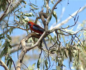 Self Drive Geology And Nature Trails - Accommodation Sunshine Coast 2