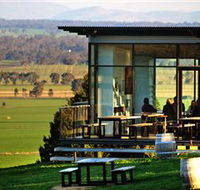 Tallis Wine Cellar Door - Accommodation Sunshine Coast