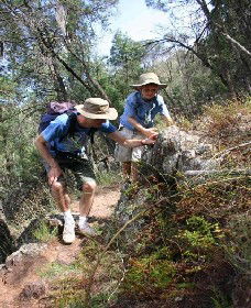 Farnham NSW Accommodation Sunshine Coast