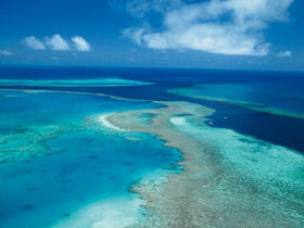 Fairey Reef - Accommodation Sunshine Coast 2