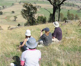 The Rock Nature Reserve - Accommodation Sunshine Coast 2