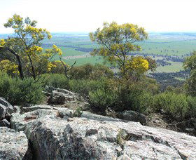 The Rock Nature Reserve - Accommodation Sunshine Coast 6