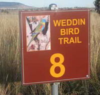 Weddin Bird Trails - Accommodation Sunshine Coast