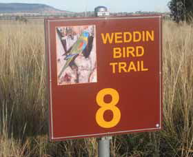 Weddin Bird Trails - Accommodation Sunshine Coast 0